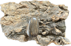 Bild Suchmaschinenoptimierung SEO Stromatolith Trommelstein Heilstein