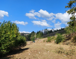 Garten- und Landschaftspflege