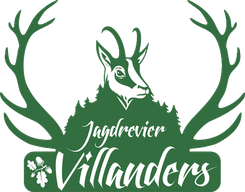 jagdreviervillanderss Webseite!