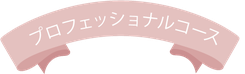 キャンドル認定講座プロフェッショナルコース