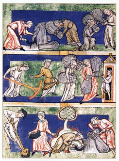 Speculum Virginum de Conrad de Hirschau, 1190, Trèves (Bonn, Rheinisches Landesmus., ms. 15328). Conditions féminines et métaphores rurales