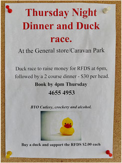 Duck Race, Artesian Waters Caravan Park, Yowah