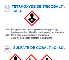 Etiquette réglementaire du Co3O4 