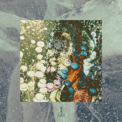VLIMMER - Aufbeißer / Young Folks CD-R