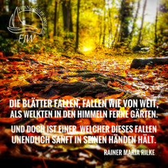 (vergrößern > anklicken)