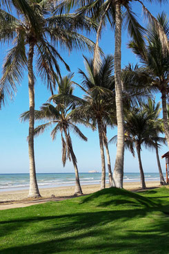 Oman, Mascate : plage d'Al Qurum et sa belle pelouse bien verte