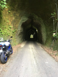 P-04　一本目の柿木台第一トンネル