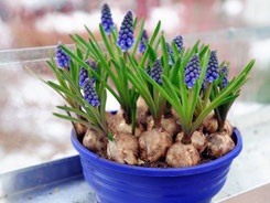 Foto: iStock