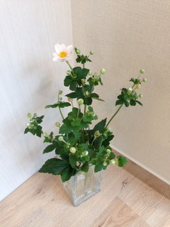 K君、Y君ありがとう。つぼみだったお花も今日一輪咲きました。かわいい。