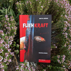 Britta Röder "Fliehkraft"