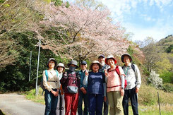 桜の前での集合写真
