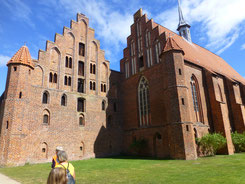 Blick auf Kloster Wienhausen