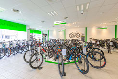 e-Bikes: Für jeden Fahrer gibt es ein passendes Modell