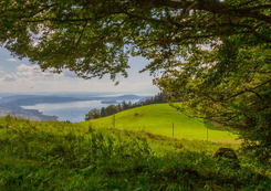 Bözingenberg Bielersee Jura