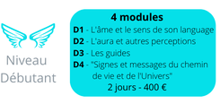 medium voyant atelier intuition lyon cours formation débutant