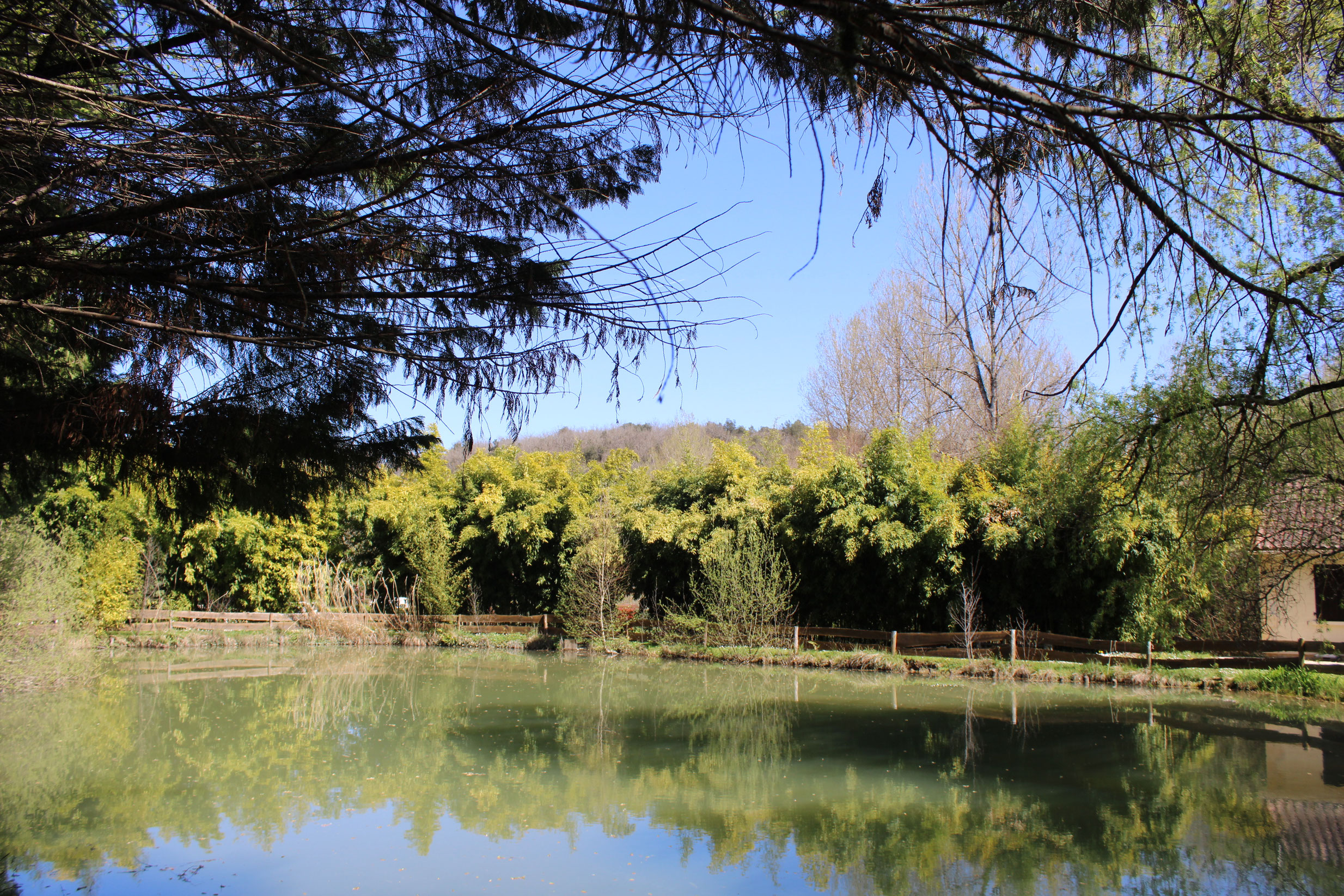 Le Mas du Ponteil - Acacia