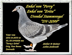 Bitte Anklicken
