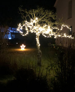 Lichterketten in Bäumen führen zu oben beschriebenen negativen Effekten und sind dazu nicht recycelbar.
