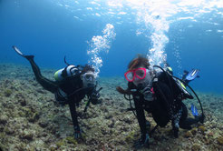 宮古島で体験ダイビング シュノーケリング 宮古島で体験ダイビングならsoukiya