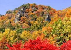 霊山の紅葉