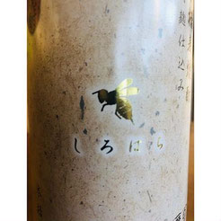 しろはち　麦焼酎　地酒