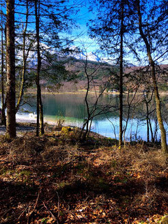 Herbst am Almsee