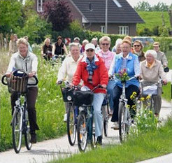 Lebendige Dörfer am Elbstrom