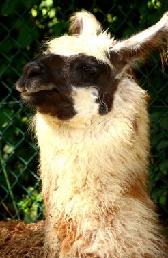 Tierpark Hellabrunn München