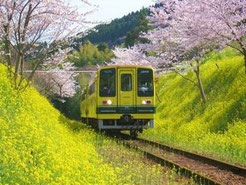 ムーミン列車