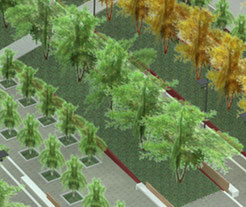 CONCORSO "PIAZZE BOTANICHE" PIAZZA MICHELANGELO PROGETTO MENZIONATO 
