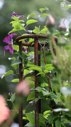 Rankgitter, Klettersäulen mit Möglichkeit zum Befüllen mit Steinen