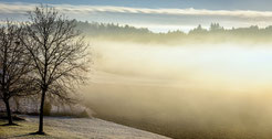 Brouillard pour visibilité d'une page web par e-cime.fr booster des TPE sur internet en deux sevres