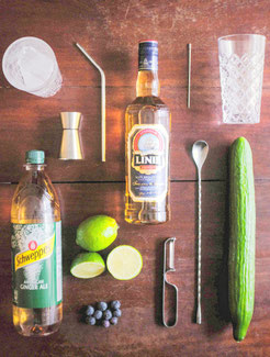 Der neue Sommer-Drink heißt "Nordic Fresh"! Obst- und Gemüsevielfalt im SÖNMEZ MARKT Harburg und ein Rückblick ins Konzert "Musik verbindet" vor 5 Jahren ...