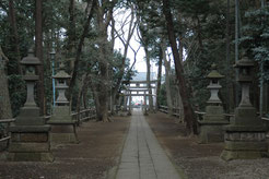氷川神社