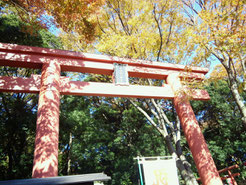世田谷八幡宮