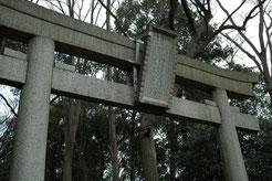 氷川神社