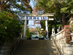 玉川神社