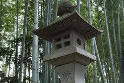 氷川神社　灯篭と竹林