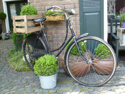 Der Einfachheit trotzen... - ein altes Fahrrad mit viel Charme - Offene Gartenpforte Sternschnuppe home & garden