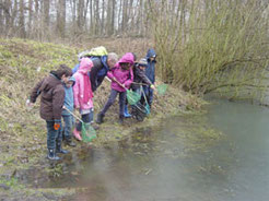 Ausgerüstet mit Keschern, Eimern und Gummistiefeln war die NABU-Kindergruppe „Parthefrösche“ unter Anleitung von Mario Vormbaum dem Leben im Wasser auf der Spur. Foto: Christoph Knappe