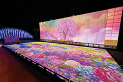 写真提供：あしかがフラワーパーク