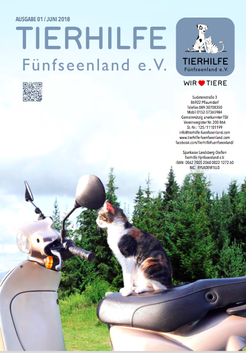 Tierhilfe Funfseenland E V Tierhilfe Funfseenland