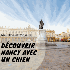 Guide pour découvrir Nancy avec un chien