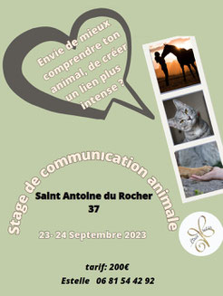 Communication avec les Animaux avec estelle brunin - annuaire du bien être via energetica