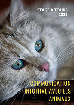 Communication Intuitive avec les Animaux Les 6 et 7 Mai 2023 - 10h - 16h30 Brigitte Ballard - annuaire du bien être via energetica