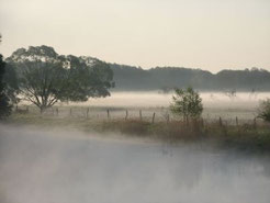 Finowtal im Nebel