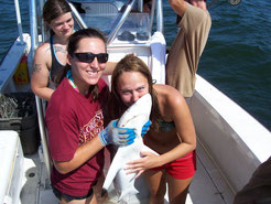 Overeager students kissing sharks