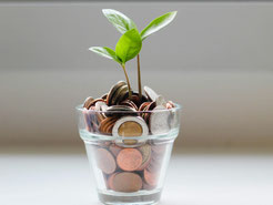 Symbolbild für Geld, das fördert