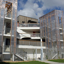Doman, Billère (64), projet d'habitat participatif, Le COL