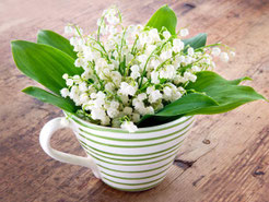 Foto: iStock